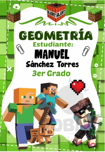 Minecraft Caratula 03